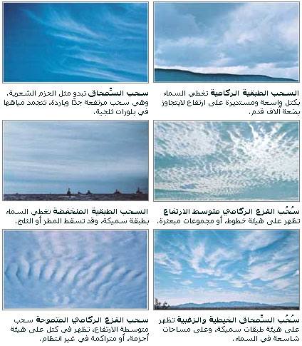 الغيوم ارتفاع الأرض أنواع التالية أي أكثر عن سطح أي أنواع