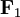 \mathbf{F}_1