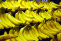Bananas, like autumn leaves, canaries and egg yolks, get their yellow color from natural pigments called carotenoids.