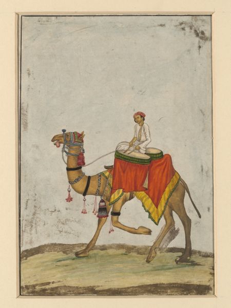ملف:A camel with its rider playing kettle drums..jpg