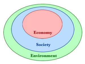 Three circles enclosed within one another showing how both economy and society are subsets that exist wholly within our planetary ecological system.