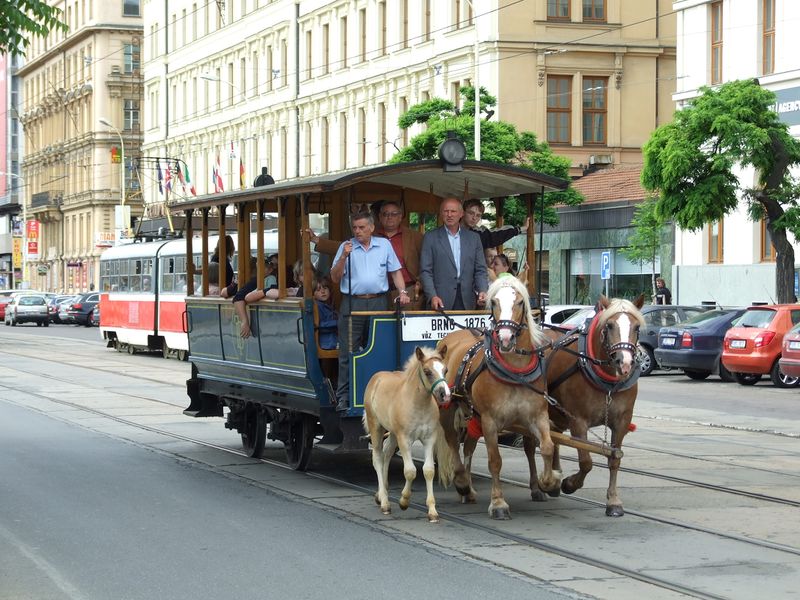 ملف:Brno, Brno Město, historická koňská tramvaj.jpg