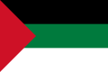 علم الحجاز من 1916 حتى 1920، مقتبس من علم الثورة العربية