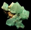 Grass-green fluorite octahedrons clustered on a quartz-rich matrix