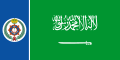 شارة البحرية السعودية (قياس: 12:25)