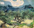 The Olive Trees, (1889)