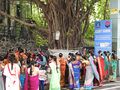 During Vat Purnima festival, married women tying threads around a banyan tree.