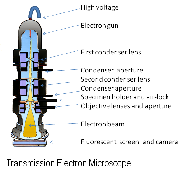 مجهر إلكتروني المعرفة