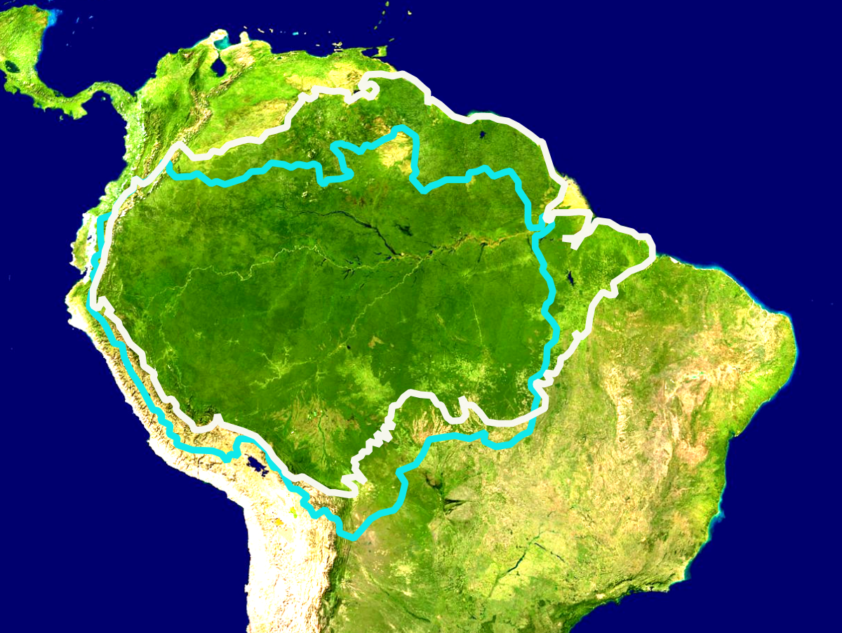 غابات الأمازون المطيرة المعرفة