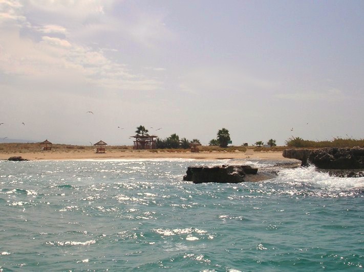 ملف:Palms Islands.jpg
