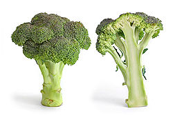 Broccoli and cross section edit.jpg