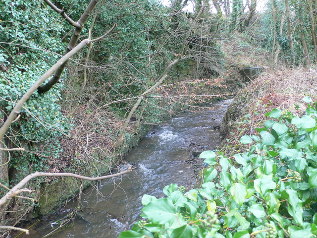 ملف:Afon Gwenfro - geograph.org.uk - 662684.jpg
