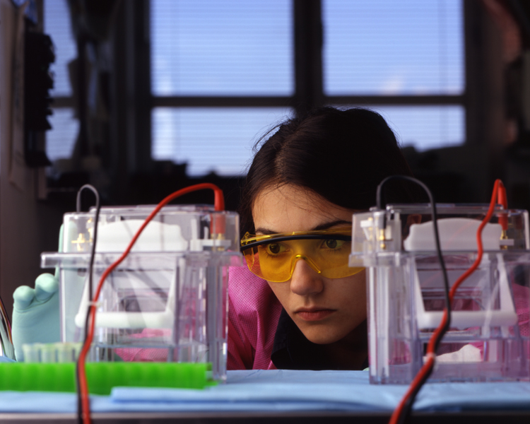 ملف:Electrophoresis equipment.jpg
