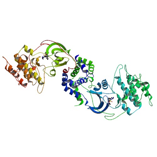 ملف:3d9v bio r 500.jpg