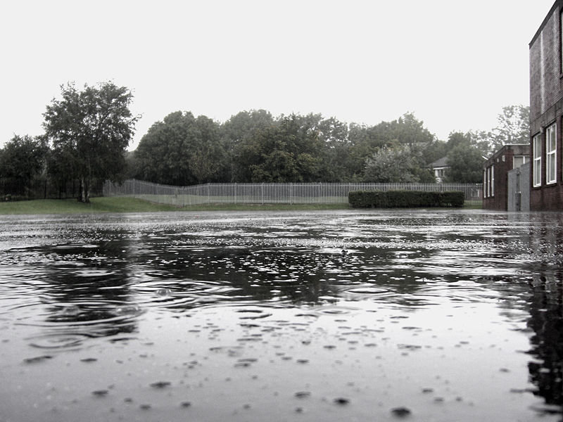 ملف:Raindrops.jpg