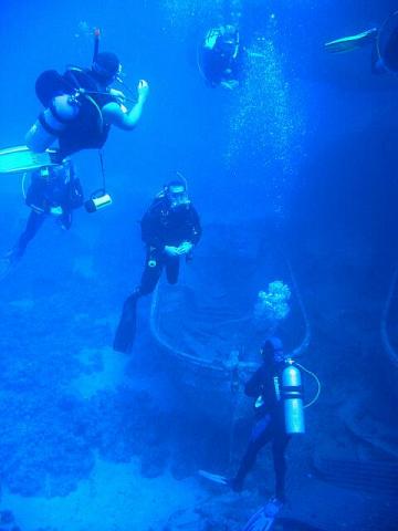 ملف:Scuba-diving.jpg