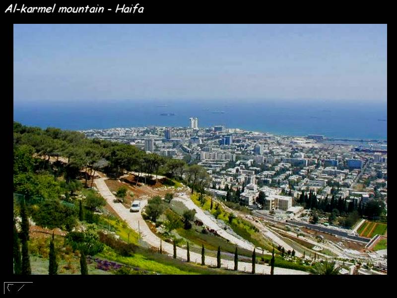 ملف:ATT000043.jpg