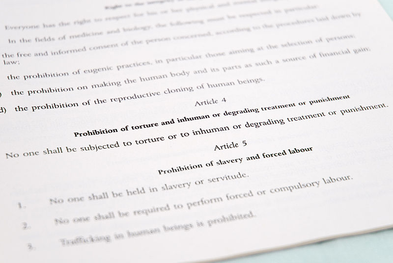ملف:10CFREU-Article4.jpg