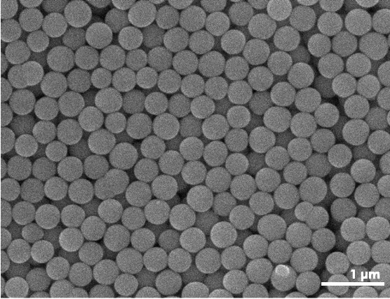 ملف:SEM Image of Colloidal Particles.jpg