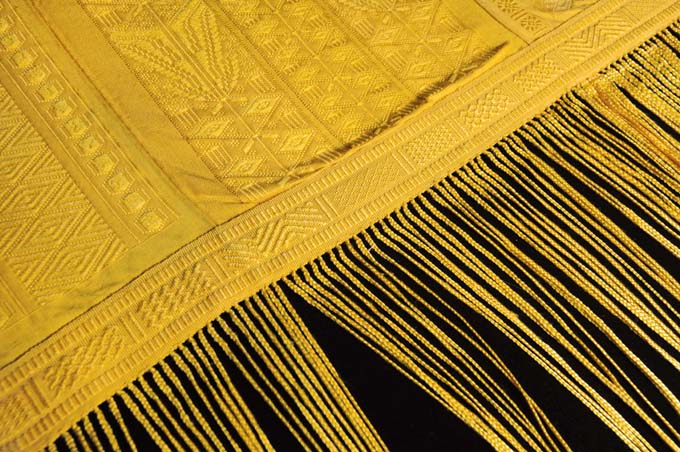 ملف:Spidercloth.jpg