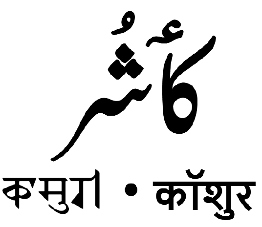 ملف:Kashmiri language.png