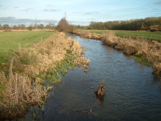 ملف:River Allen, Dorset - geograph.org.uk - 110519.jpg