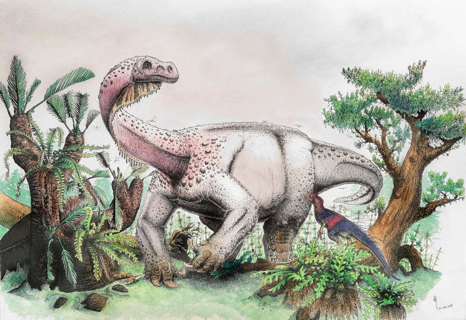 2018 in paleontology 