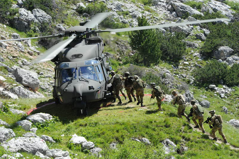 ملف:Alpini Btn Feltre - Ex Falzarego 2011 007.jpg