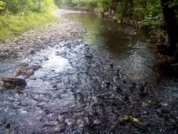 ملف:Русло ріки влітку.jpg