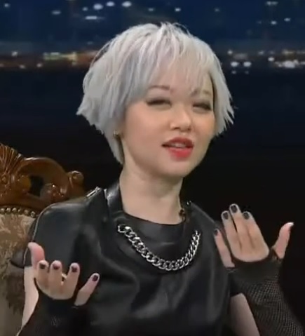 ملف:锵锵三人行20160411 黄真真.jpg