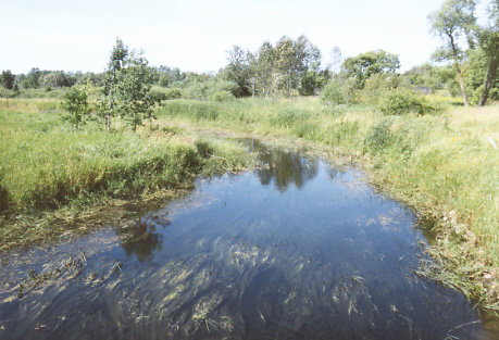 ملف:Partridge River.jpg