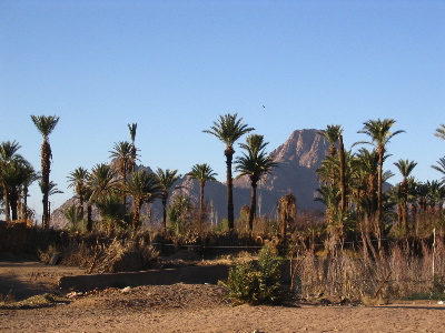 ملف:Hoggar8.jpg