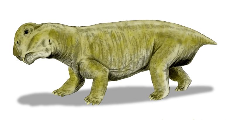ملف:Lystrosaurus BW.jpg