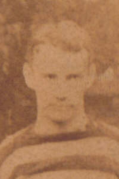 ملف:Ripocock1884-85.jpg