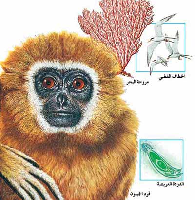 ملف:Animalspic1.jpg