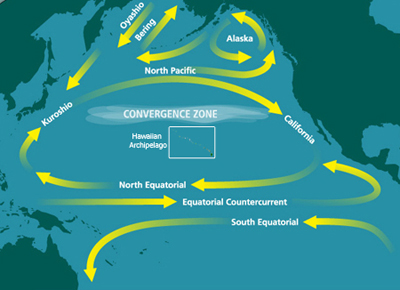 ملف:North Pacific Subtropical Convergence Zone.jpg