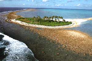 ملف:Viringili.jpg