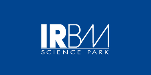ملف:IRBM.jpg