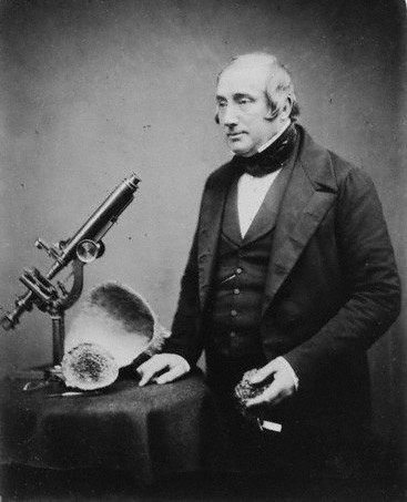 ملف:James Scott Bowerbank.jpg