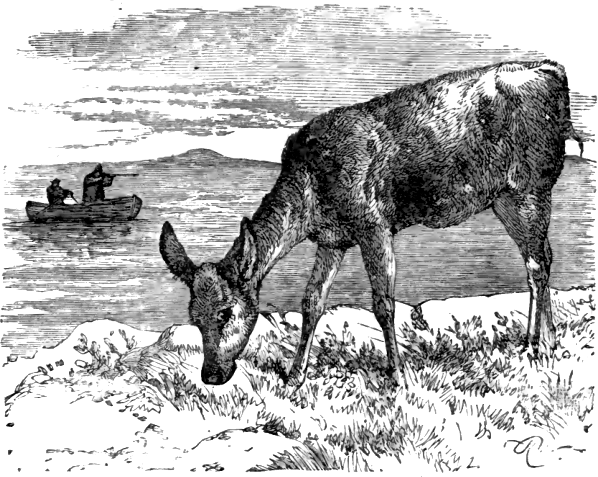 ملف:Page 83 illustration to Three hundred Aesop's fables (Townshend).png