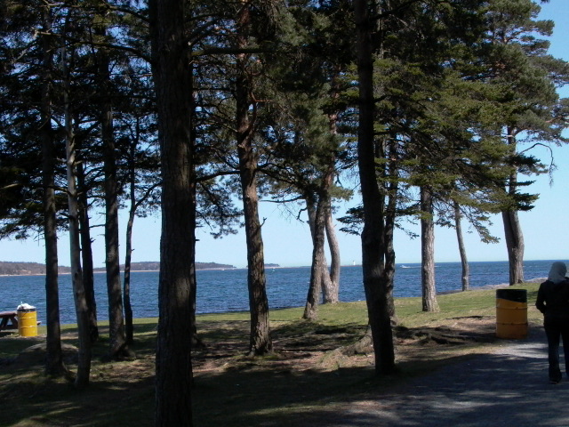 ملف:Point Pleasant.jpg