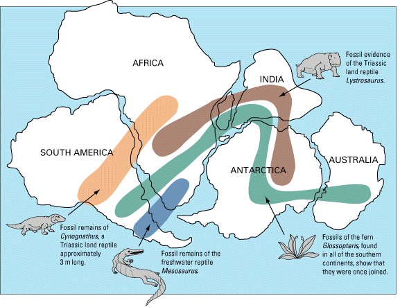 ملف:Snider-Pellegrini Wegener fossil map.gif