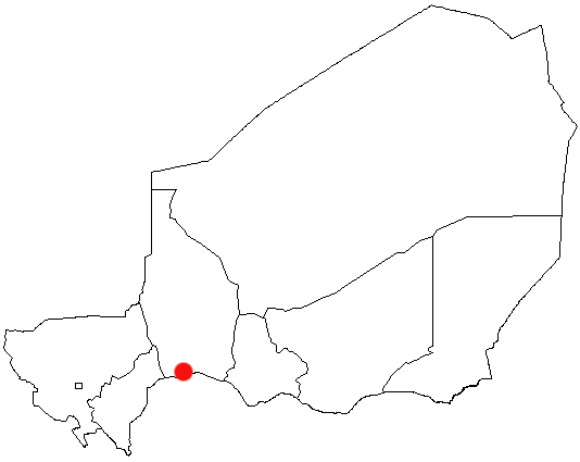 ملف:NE-Birni N'konni.png