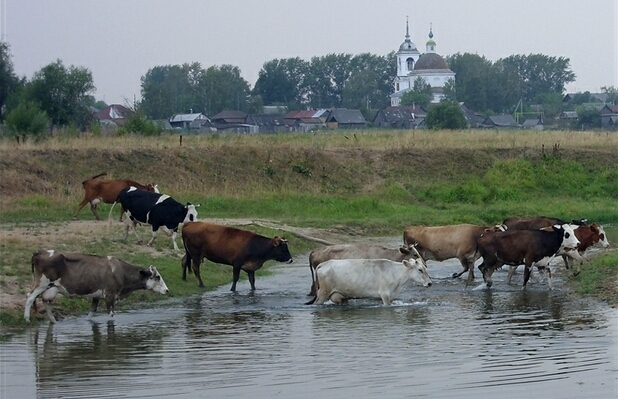 ملف:Церковь Троицы Живоначальной в селе Архангельское.jpg