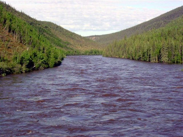 ملف:Fortymile River from Taylor Highway.jpg