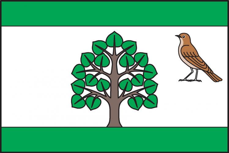 ملف:Strenice Flag.jpg
