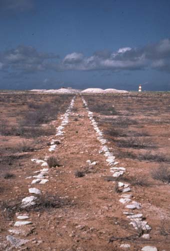 ملف:Jarvis Island Guano Tramway.jpg