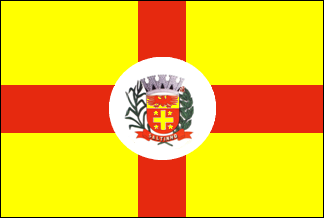 ملف:Bandeira Saltinho.png