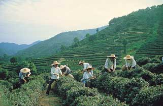ملف:Chinaeconomypic2.jpg