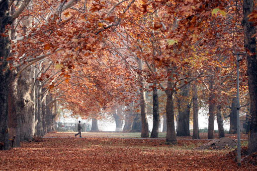 ملف:Kashmir autumn.jpg